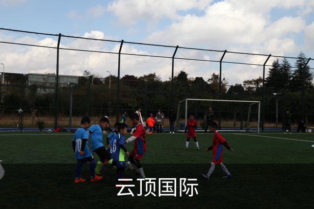关于云顶国际