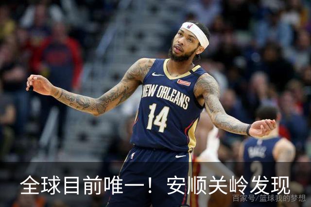 全球目前唯一！安顺关岭发现